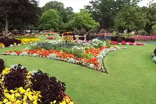 Flower Garden