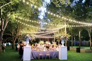 Party Lawn